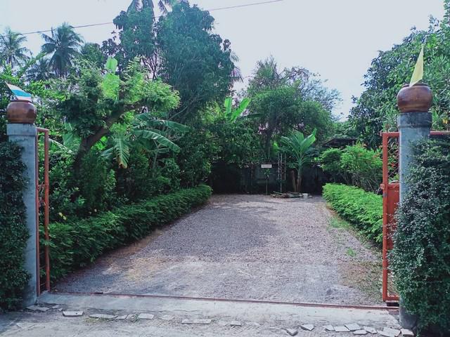ที่ดิน 3000000 ราชบุรี เมืองราชบุรี บ้านไร่ ที่ดิน 3000000 ราชบุรี เมืองราชบุรี บ้านไร่