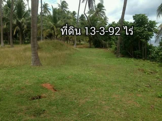 ที่ดิน 6500 ประจวบคีรีขันธ์ บางสะพานน้อย ทรายทอง ที่ดิน 6500 ประจวบคีรีขันธ์ บางสะพานน้อย ทรายทอง