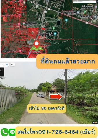 ที่ดิน 950000 บุรีรัมย์ เมืองบุรีรัมย์ เสม็ด