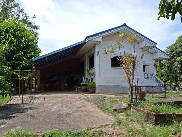 บ้านเดี่ยว 2520000 ขอนแก่น น้ำพอง น้ำพอง บ้านเดี่ยว 2520000 ขอนแก่น น้ำพอง น้ำพอง