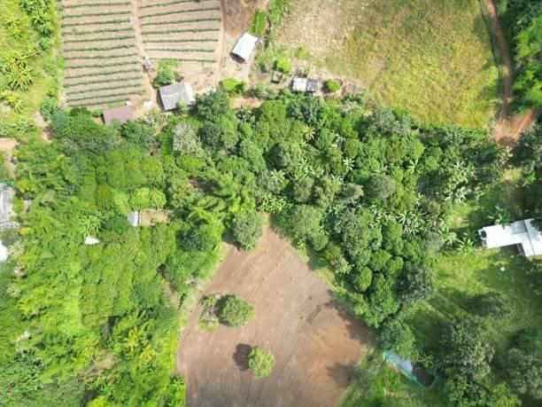 ที่ดิน 4500000 เชียงใหม่ สะเมิง สะเมิงเหนือ ที่ดิน 4500000 เชียงใหม่ สะเมิง สะเมิงเหนือ