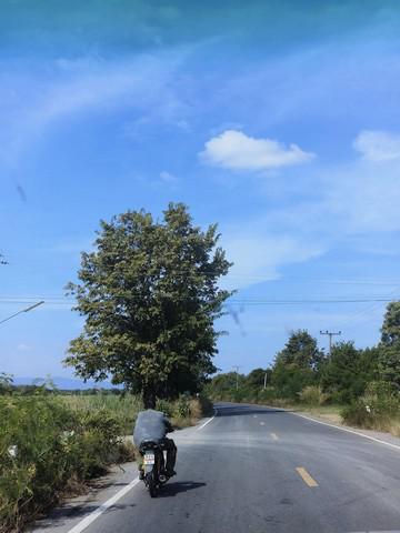 ที่ดิน 90000 ลพบุรี โคกเจริญ โคกแสมสาร ที่ดิน 90000 ลพบุรี โคกเจริญ โคกแสมสาร