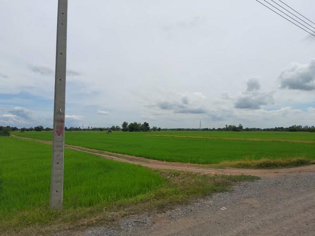 ที่ดิน 2270000 นครสวรรค์ ชุมแสง หนองกระเจา ที่ดิน 2270000 นครสวรรค์ ชุมแสง หนองกระเจา