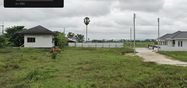 ที่ดิน 490000 พิษณุโลก เมืองพิษณุโลก มะขามสูง ที่ดิน 490000 พิษณุโลก เมืองพิษณุโลก มะขามสูง