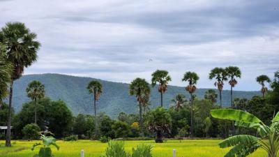 บ้านเดี่ยว 1500000 เพชรบุรี บ้านลาด หนองกะปุ