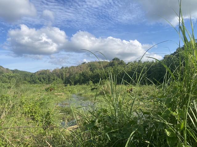 ที่ดิน 800000 น่าน สันติสุข ดู่พงษ์ ที่ดิน 800000 น่าน สันติสุข ดู่พงษ์