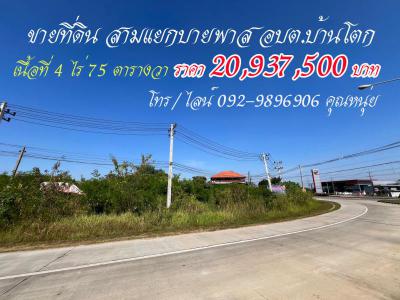 ที่ดิน 17220000 นนทบุรี ไทรน้อย ทวีวัฒนา