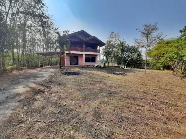 บ้านเดี่ยว 2140000 เพชรบูรณ์ หนองไผ่ นาเฉลียง บ้านเดี่ยว 2140000 เพชรบูรณ์ หนองไผ่ นาเฉลียง