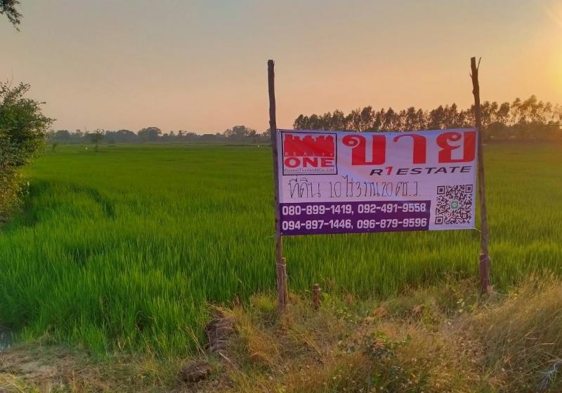 ที่ดิน 220000 พระนครศรีอยุธยา นครหลวง แม่ลา ที่ดิน 220000 พระนครศรีอยุธยา นครหลวง แม่ลา