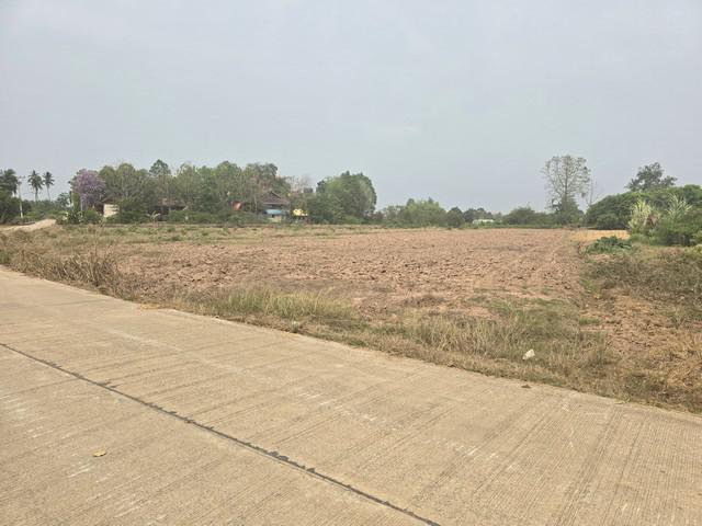 ที่ดิน 4278000 พิษณุโลก เมืองพิษณุโลก บึงพระ ที่ดิน 4278000 พิษณุโลก เมืองพิษณุโลก บึงพระ