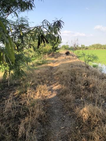 ที่ดิน 800000 ปทุมธานี ลาดหลุมแก้ว บ่อเงิน