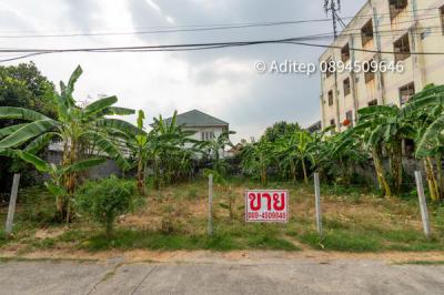 ที่ดิน 3920000 ปทุมธานี ลำลูกกา คูคต