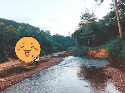 ที่ดิน 800000 น่าน สันติสุข ดู่พงษ์