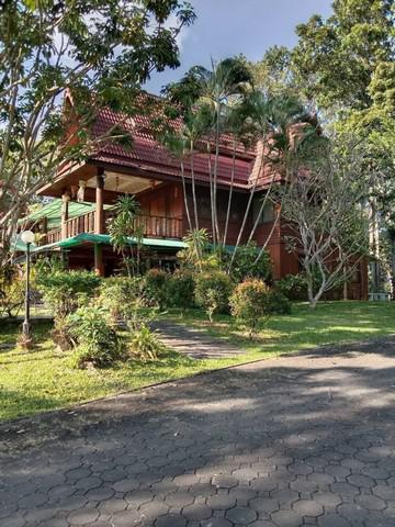 บ้านเดี่ยว 35000000 เชียงใหม่ แม่ริม ริมเหนือ บ้านเดี่ยว 35000000 เชียงใหม่ แม่ริม ริมเหนือ