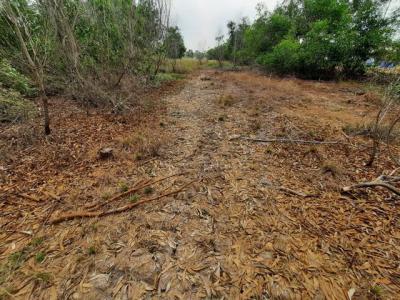 ที่ดิน 1500000 ปทุมธานี คลองหลวง คลองหก