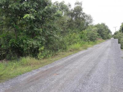 ที่ดิน 8190000 ปทุมธานี คลองหลวง คลองสอง