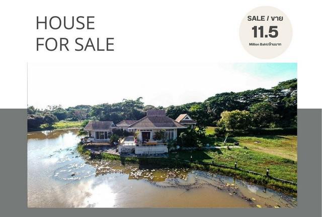 บ้านเดี่ยว 10500000 เชียงใหม่ สันทราย ป่าไผ่ บ้านเดี่ยว 10500000 เชียงใหม่ สันทราย ป่าไผ่