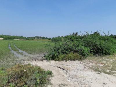 ที่ดิน 2500000 เพชรบุรี เมืองเพชรบุรี หาดเจ้าสำราญ