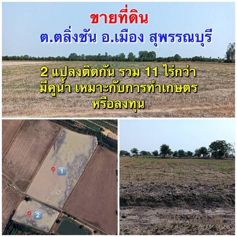 ที่ดิน 4500000 สุพรรณบุรี เมืองสุพรรณบุรี ตลิ่งชัน ที่ดิน 4500000 สุพรรณบุรี เมืองสุพรรณบุรี ตลิ่งชัน