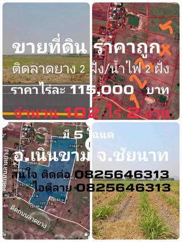 ที่ดิน 115000 ชัยนาท กิ่งอำเภอเนินขาม สุขเดือนห้า