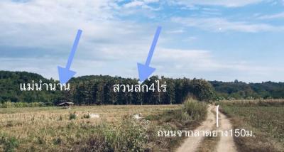 ที่ดิน 2500000 น่าน ทุ่งช้าง และ