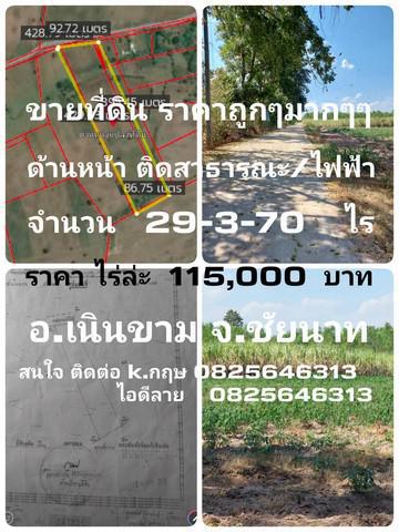 ที่ดิน 115000 ชัยนาท กิ่งอำเภอเนินขาม สุขเดือนห้า