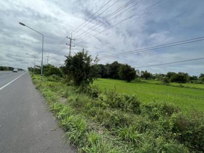 ที่ดิน 3800000 ศรีสะเกษ เมืองศรีสะเกษ หนองแก้ว
