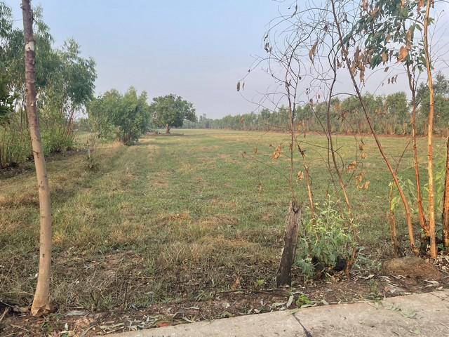 ที่ดิน 450000 ร้อยเอ็ด อาจสามารถ อาจสามารถ ที่ดิน 450000 ร้อยเอ็ด อาจสามารถ อาจสามารถ