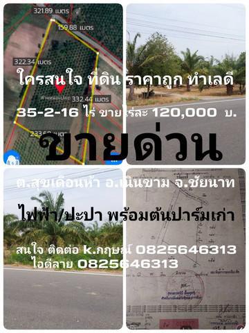 ที่ดิน 120000 ชัยนาท กิ่งอำเภอเนินขาม สุขเดือนห้า