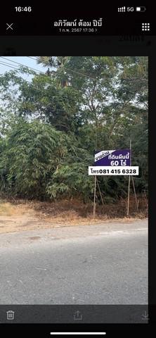 ที่ดิน 43000000 ปทุมธานี หนองเสือ หนองสามวัง ที่ดิน 43000000 ปทุมธานี หนองเสือ หนองสามวัง