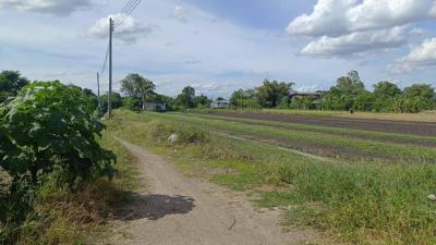 ที่ดิน 8000000 ปทุมธานี เมืองปทุมธานี บางเดื่อ