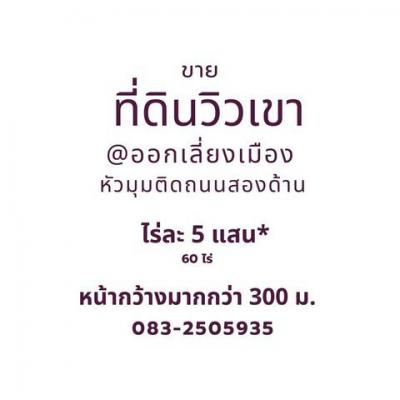 ที่ดิน 500000 นครสวรรค์ โกรกพระ บางประมุง