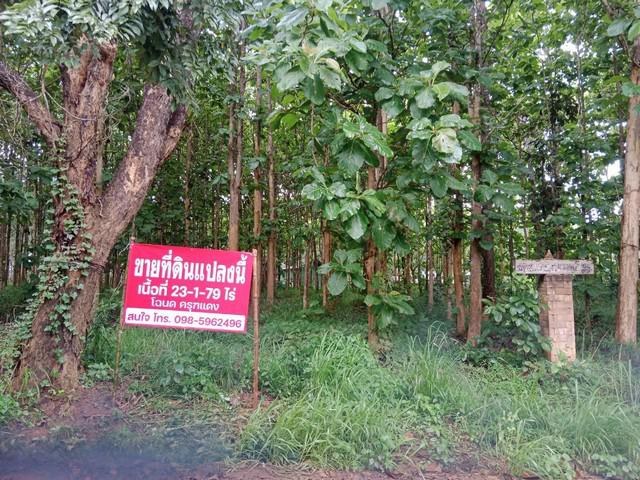 ที่ดิน 13000000 เลย ภูเรือ ร่องจิก ที่ดิน 13000000 เลย ภูเรือ ร่องจิก