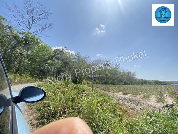 ที่ดิน 38750000 ภูเก็ต ถลาง เทพกระษัตรี
