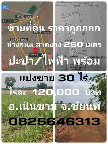 ที่ดิน 120000 ชัยนาท กิ่งอำเภอเนินขาม สุขเดือนห้า