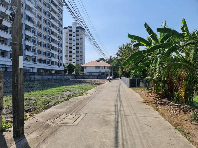 ที่ดิน 45500000 กรุงเทพมหานคร เขตบางนา บางนา ที่ดิน 45500000 กรุงเทพมหานคร เขตบางนา บางนา