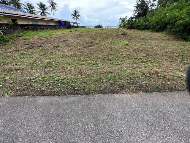 ที่ดิน 5900000 ชุมพร ปะทิว สะพลี ที่ดิน 5900000 ชุมพร ปะทิว สะพลี