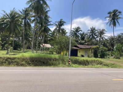 ที่ดิน 8000000 ชุมพร ปะทิว สะพลี