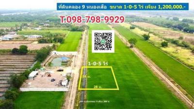 ที่ดิน 1200000 ปทุมธานี หนองเสือ บึงบอน