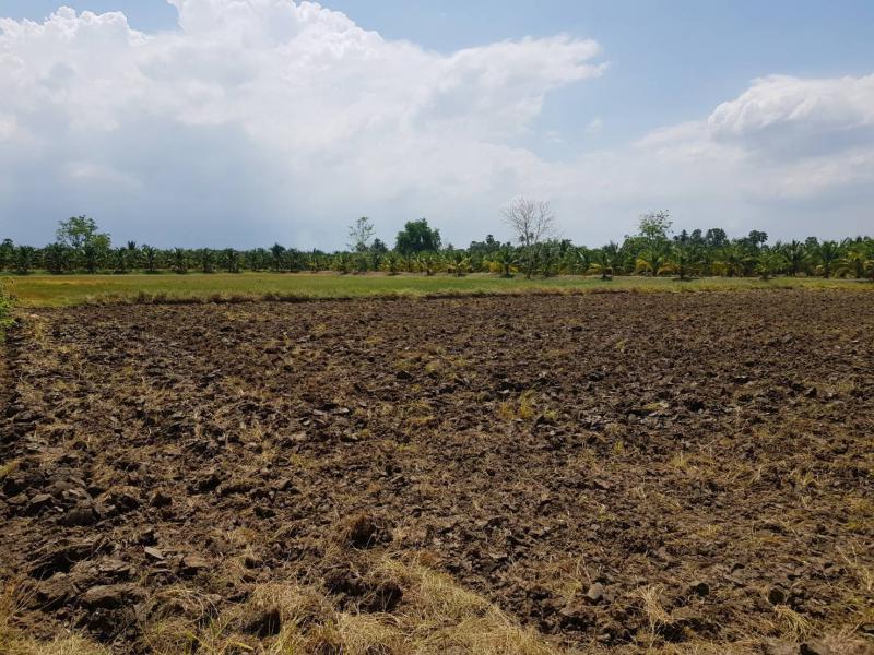 ที่ดิน 3400000 ราชบุรี โพธาราม คลองตาคต ที่ดิน 3400000 ราชบุรี โพธาราม คลองตาคต