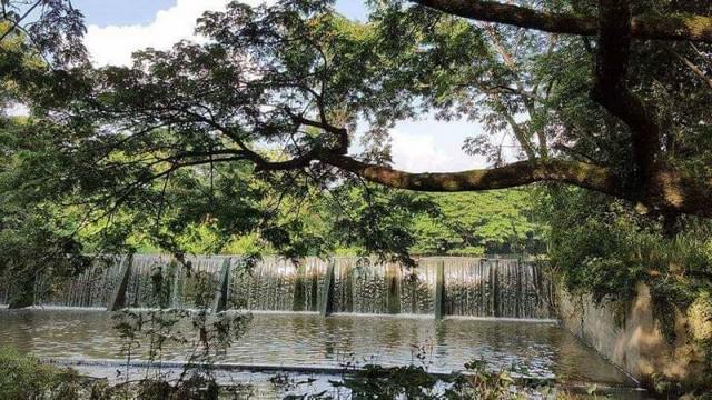 ที่ดิน 2500000 เชียงใหม่ ดอยสะเก็ด แม่โป่ง ที่ดิน 2500000 เชียงใหม่ ดอยสะเก็ด แม่โป่ง