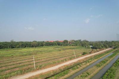 ที่ดิน 3500000 ปทุมธานี หนองเสือ บึงกาสาม