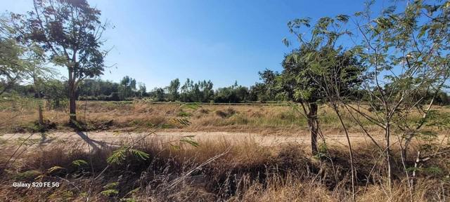 ที่ดิน 400000 ลพบุรี พัฒนานิคม ช่องสาริกา ที่ดิน 400000 ลพบุรี พัฒนานิคม ช่องสาริกา