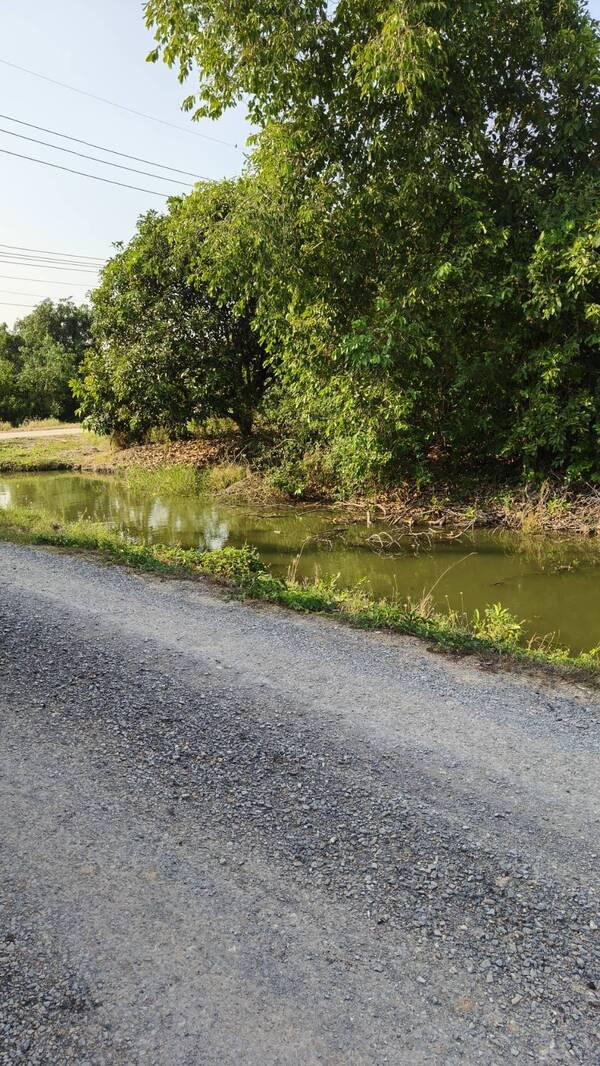 ที่ดิน 5000000 ปทุมธานี ลาดหลุมแก้ว คูบางหลวง