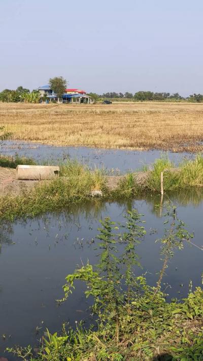 ที่ดิน 3000000 ปทุมธานี ลาดหลุมแก้ว คูบางหลวง