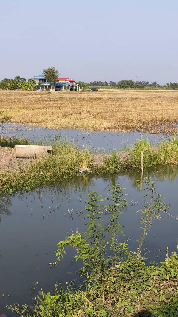 ที่ดิน 3000000 ปทุมธานี ลาดหลุมแก้ว คูบางหลวง