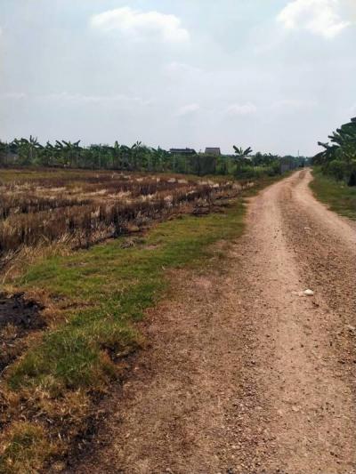 ที่ดิน 2250000 ปทุมธานี ลาดหลุมแก้ว คูบางหลวง