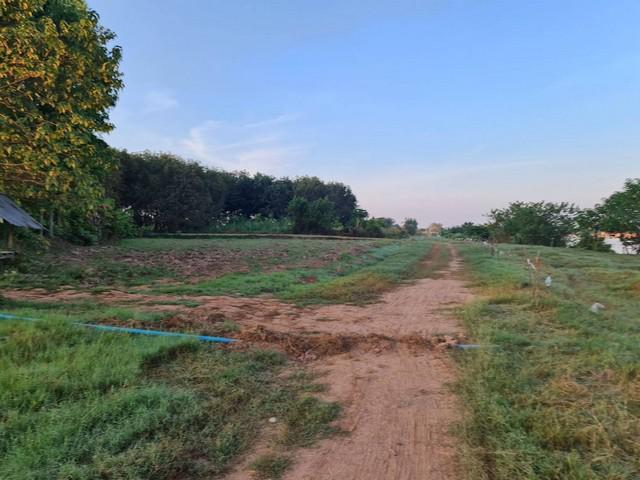 ที่ดิน 2000000 หนองคาย โพนพิสัย กุดบง ที่ดิน 2000000 หนองคาย โพนพิสัย กุดบง