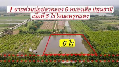 ที่ดิน 4080000 ปทุมธานี หนองเสือ บึงบอน