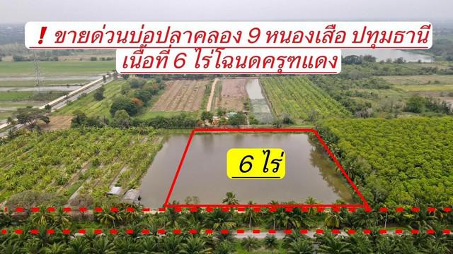 ที่ดิน 4080000 ปทุมธานี หนองเสือ บึงบอน ที่ดิน 4080000 ปทุมธานี หนองเสือ บึงบอน